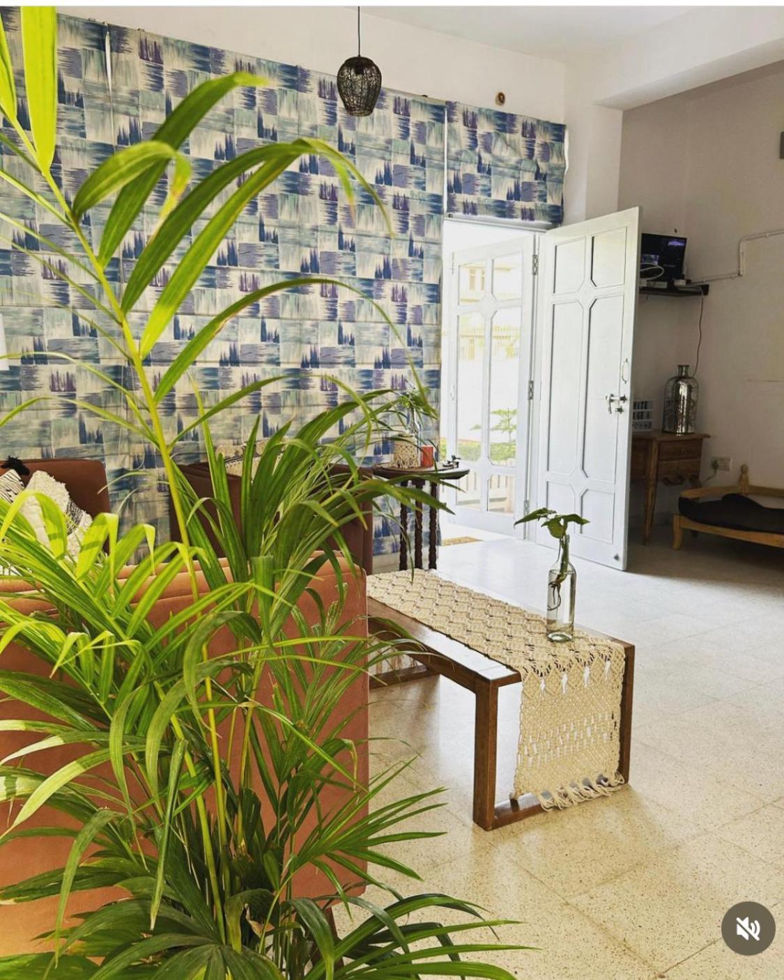 Solanki Farms & Pool Villa Garden Fully Private Τζαϊπούρ Εξωτερικό φωτογραφία