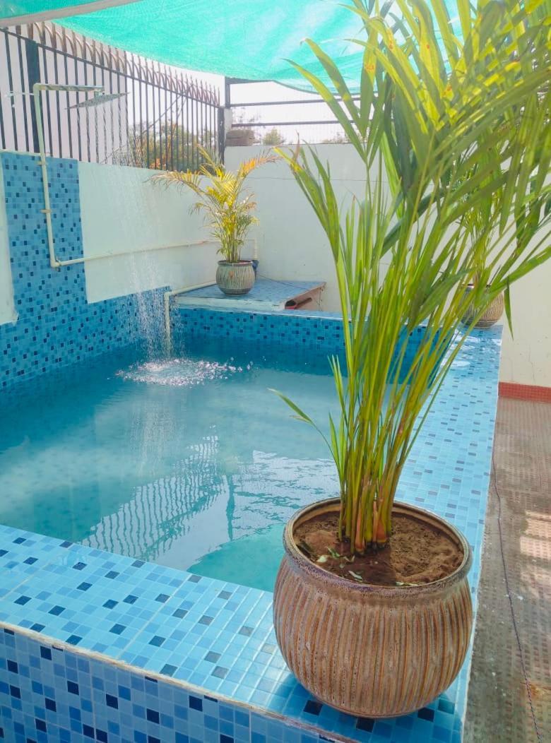 Solanki Farms & Pool Villa Garden Fully Private Τζαϊπούρ Εξωτερικό φωτογραφία